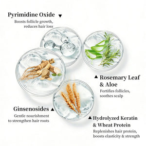 Rosemary Scalp Tonic for Hair Growth - with Ginseng & Caffeine - Revitalizing Hair Treatment for Hair Thinning & Hair Loss - HONLINK