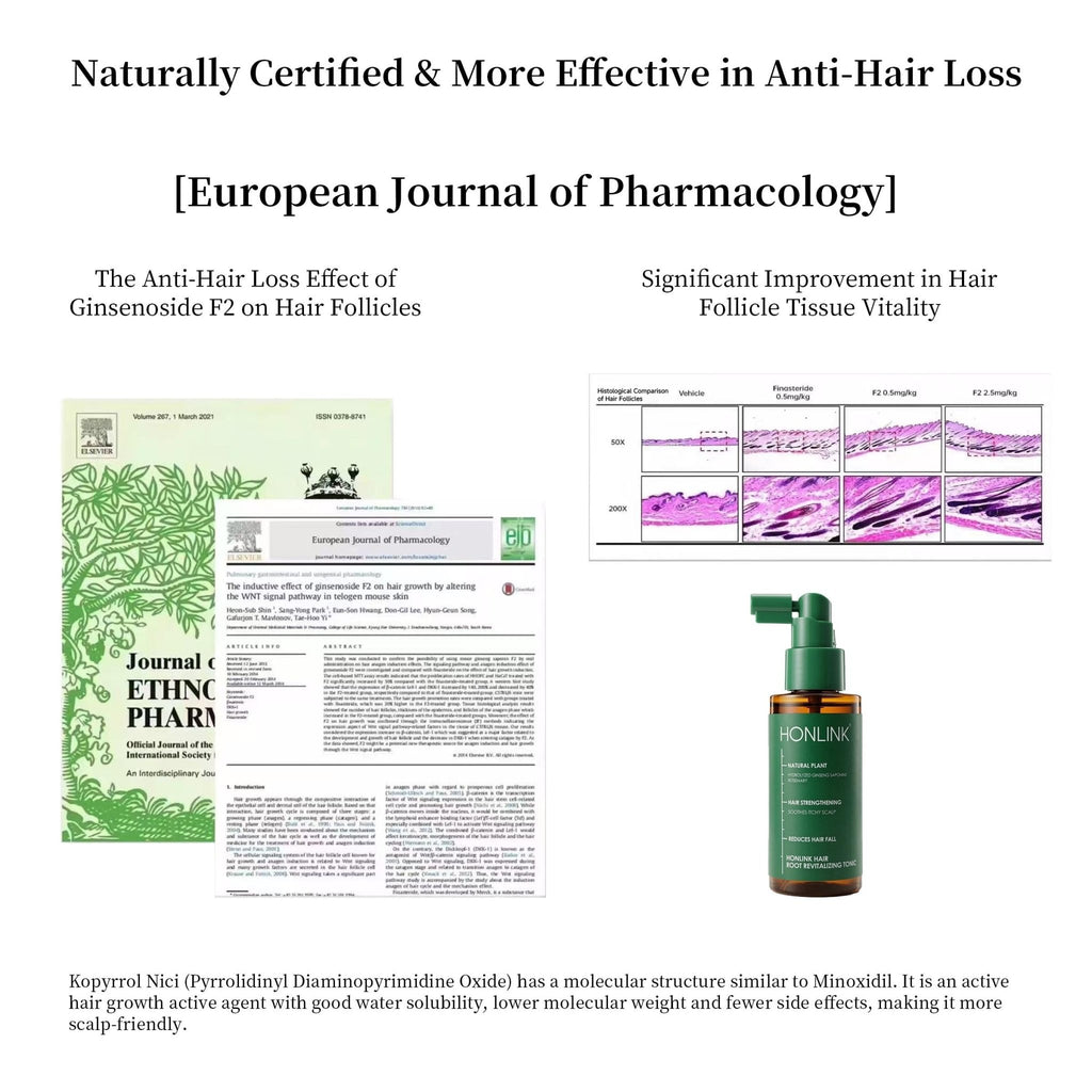 Rosemary Scalp Tonic for Hair Growth - with Ginseng & Caffeine - Revitalizing Hair Treatment for Hair Thinning & Hair Loss - HONLINK